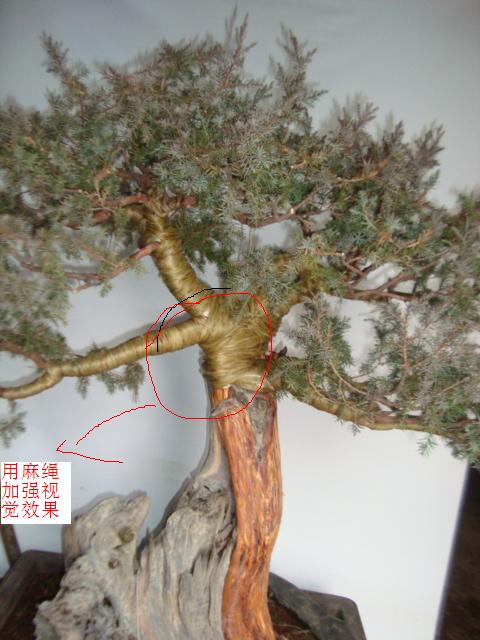 DSC06305.JPG
