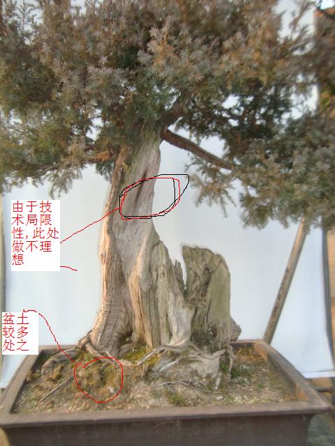 DSC06299.jpg