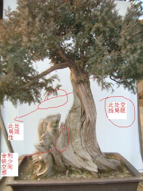 DSC06298.jpg