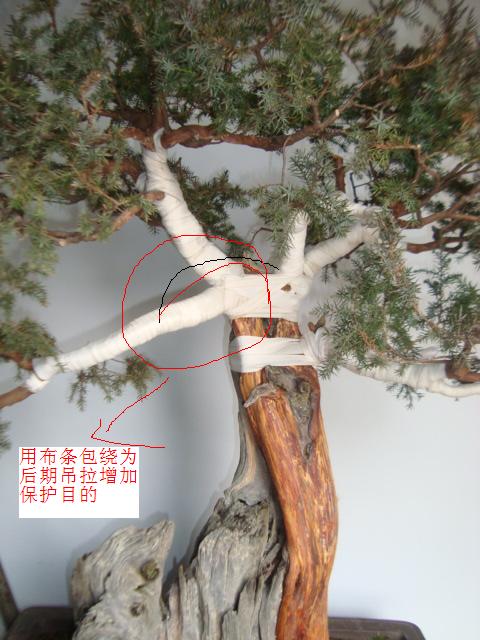 DSC06304.JPG