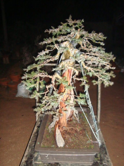 DSC06316.jpg