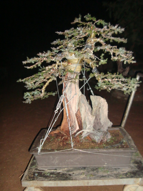 DSC06321.jpg