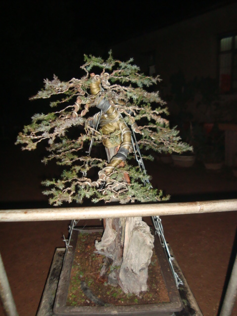 DSC06322.jpg