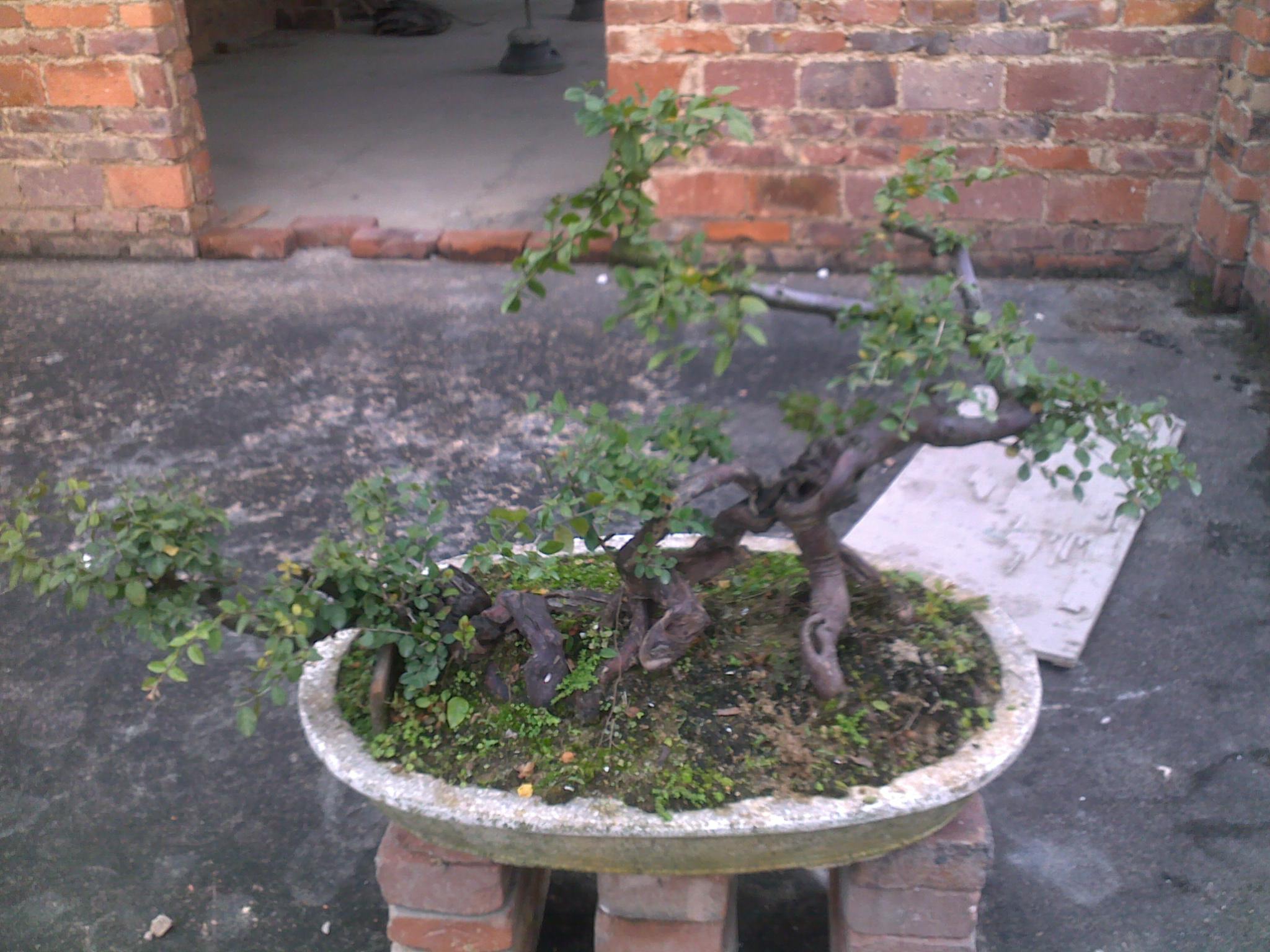 201301012479.jpg