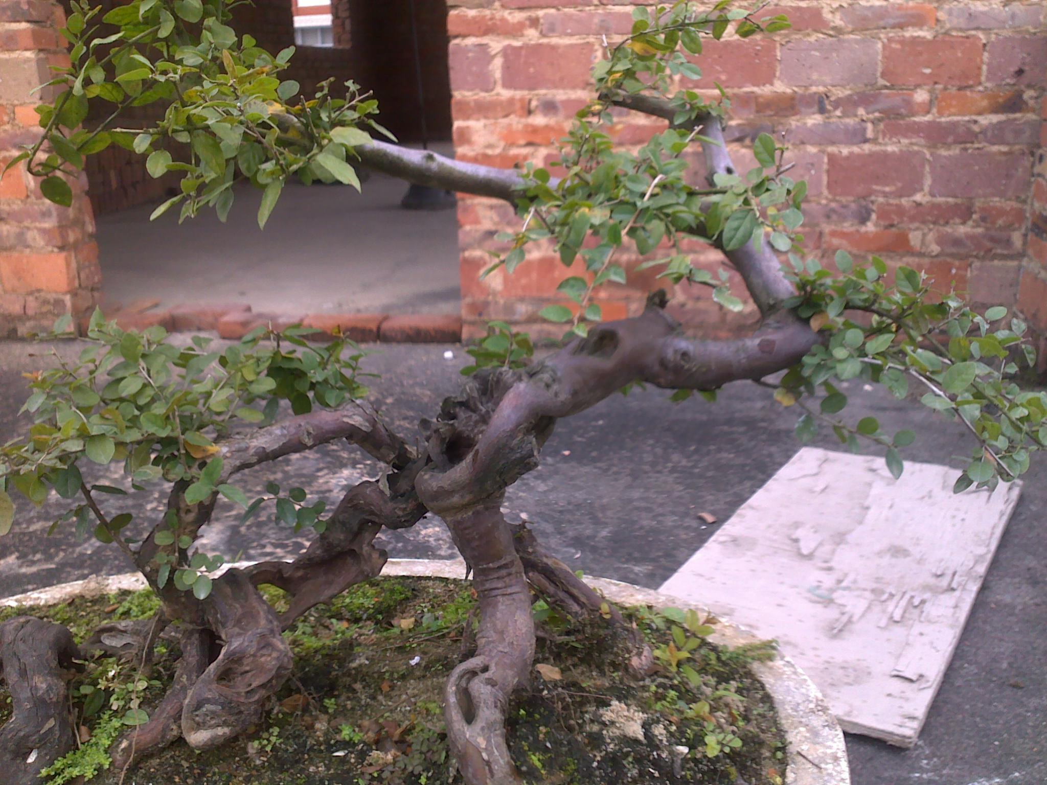 201301012480.jpg