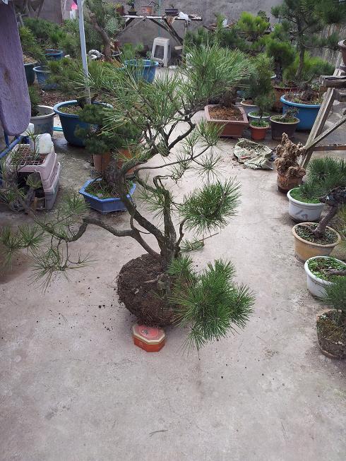 20130206_114316.jpg