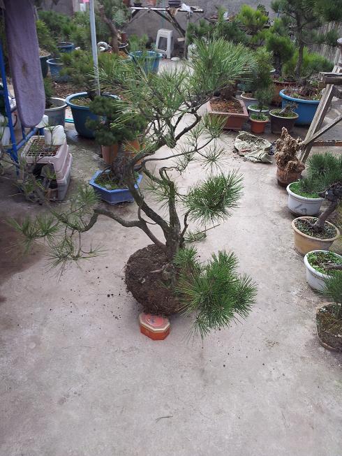 20130206_114319.jpg