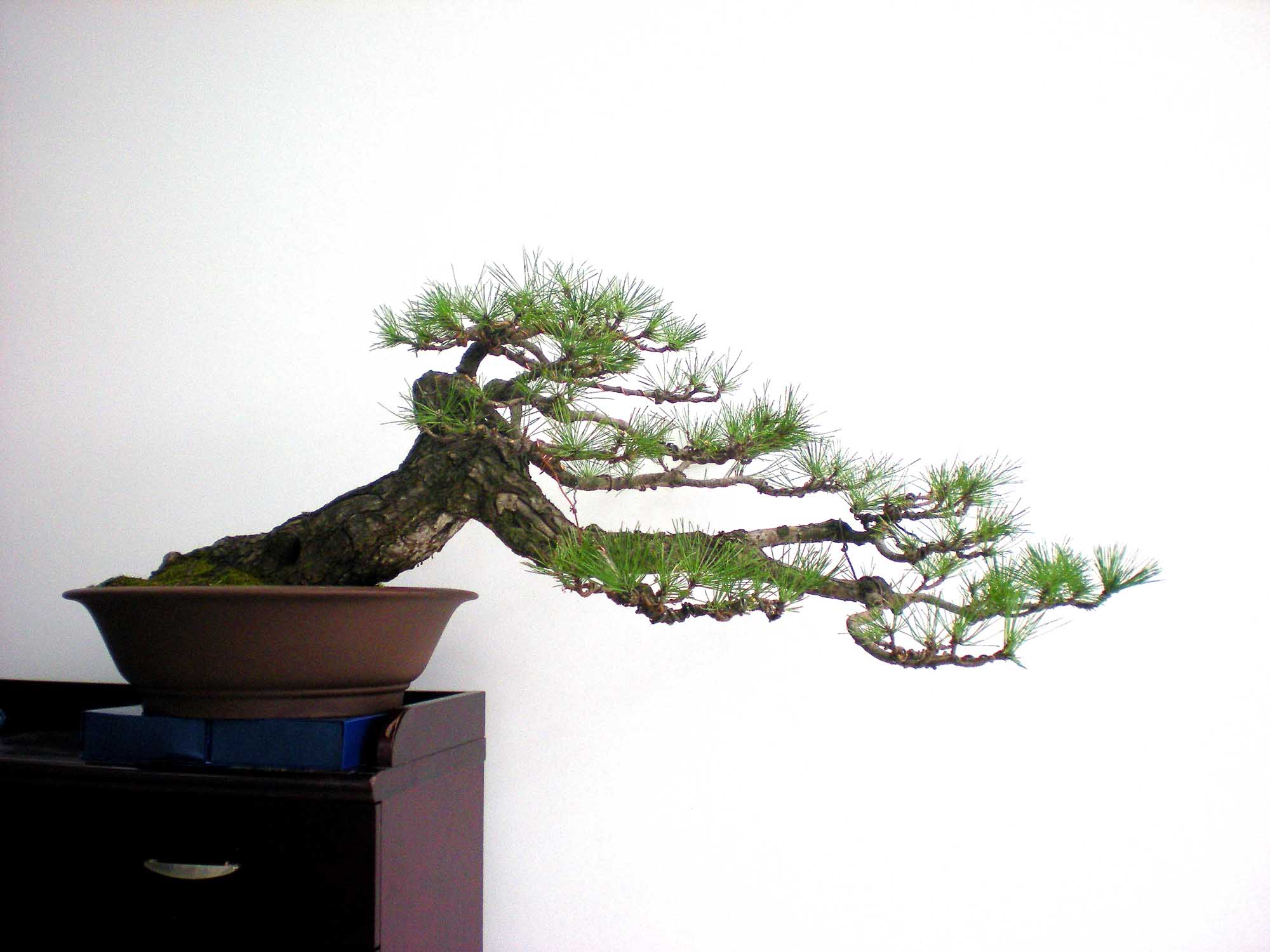 DSCN4097 .jpg
