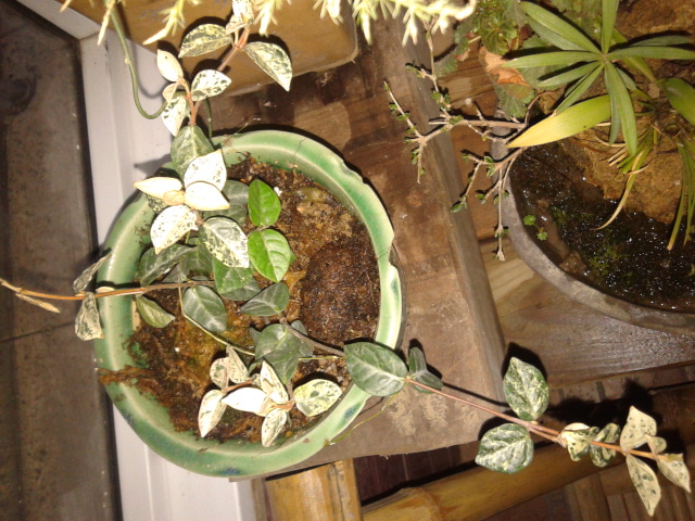 20130207_072822.jpg
