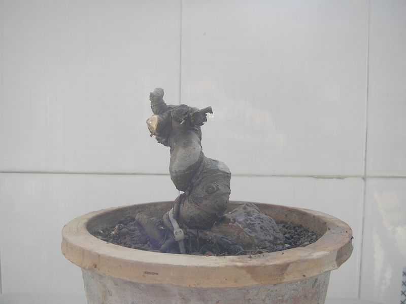 P2064882.JPG
