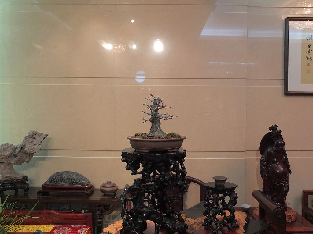 DSCF9980.jpg