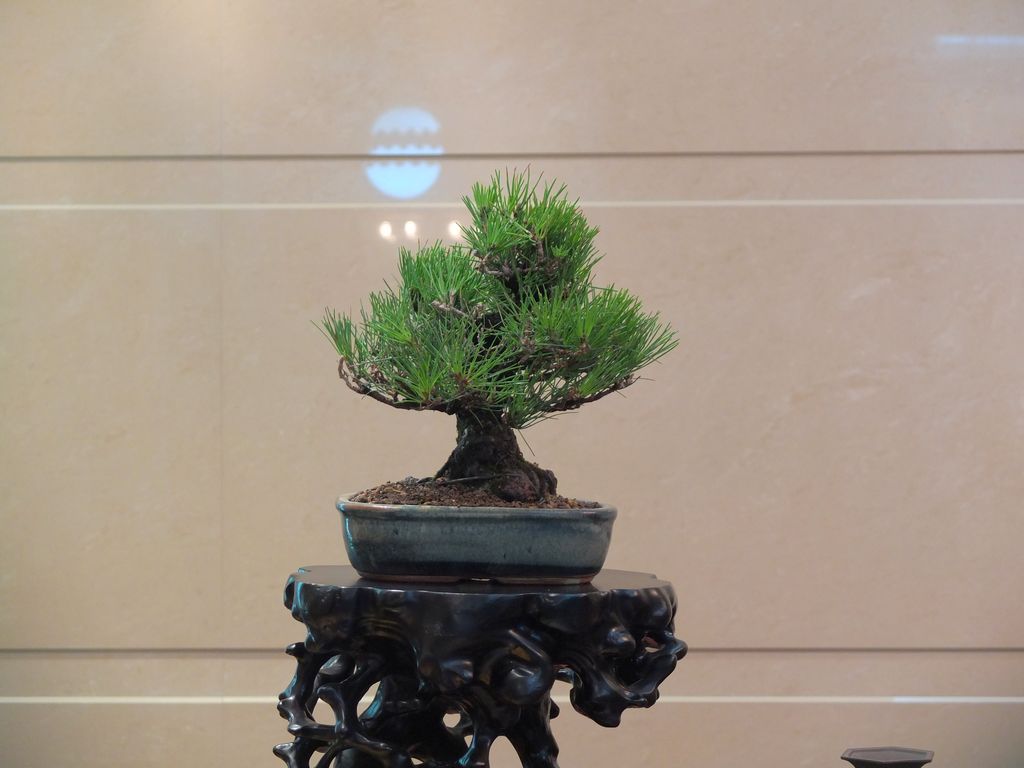 DSCF0123.jpg