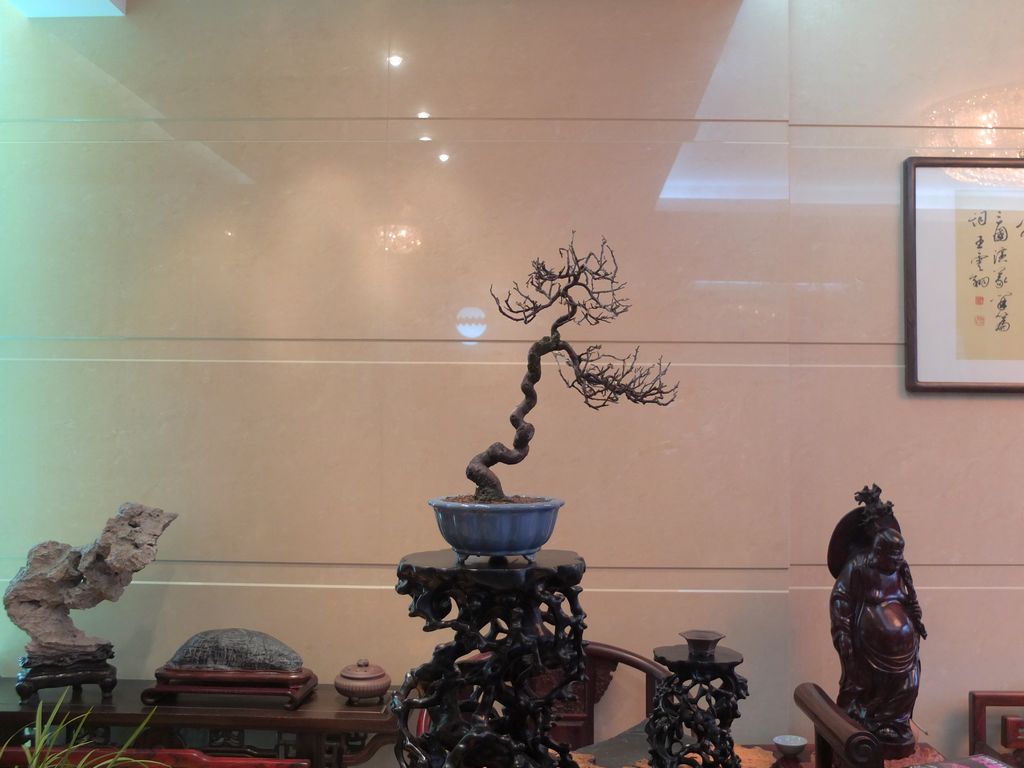 DSCF9948.jpg