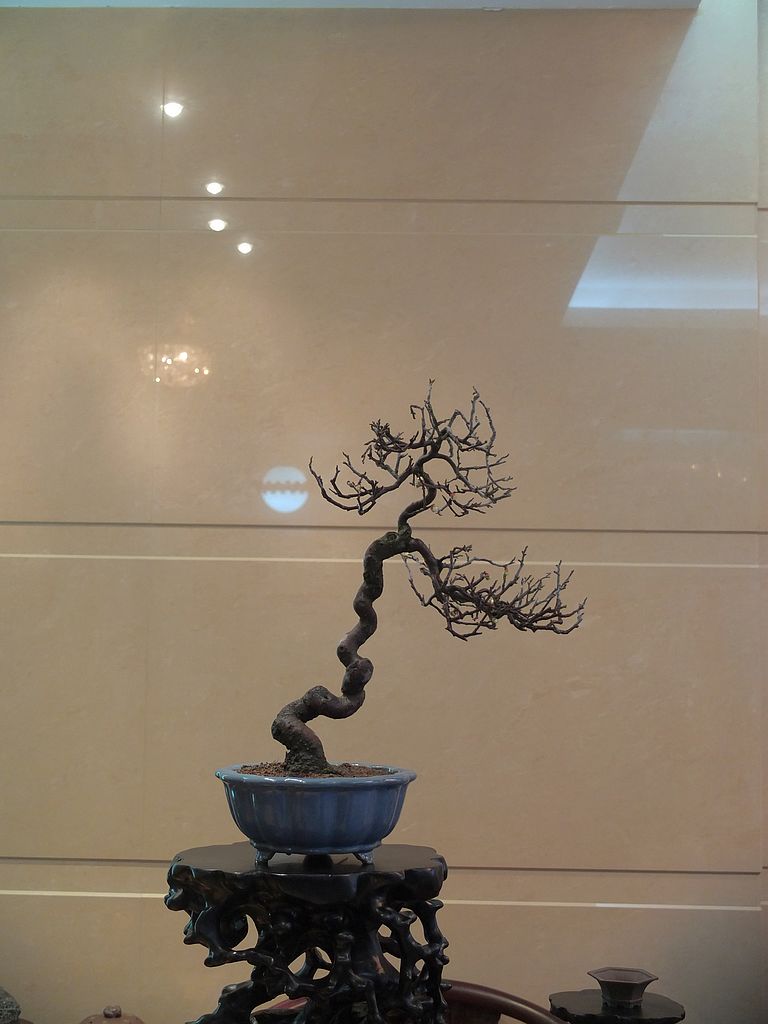 DSCF9939.jpg