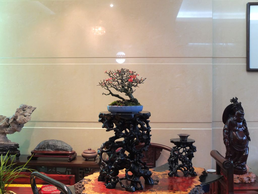 DSCF9930.jpg