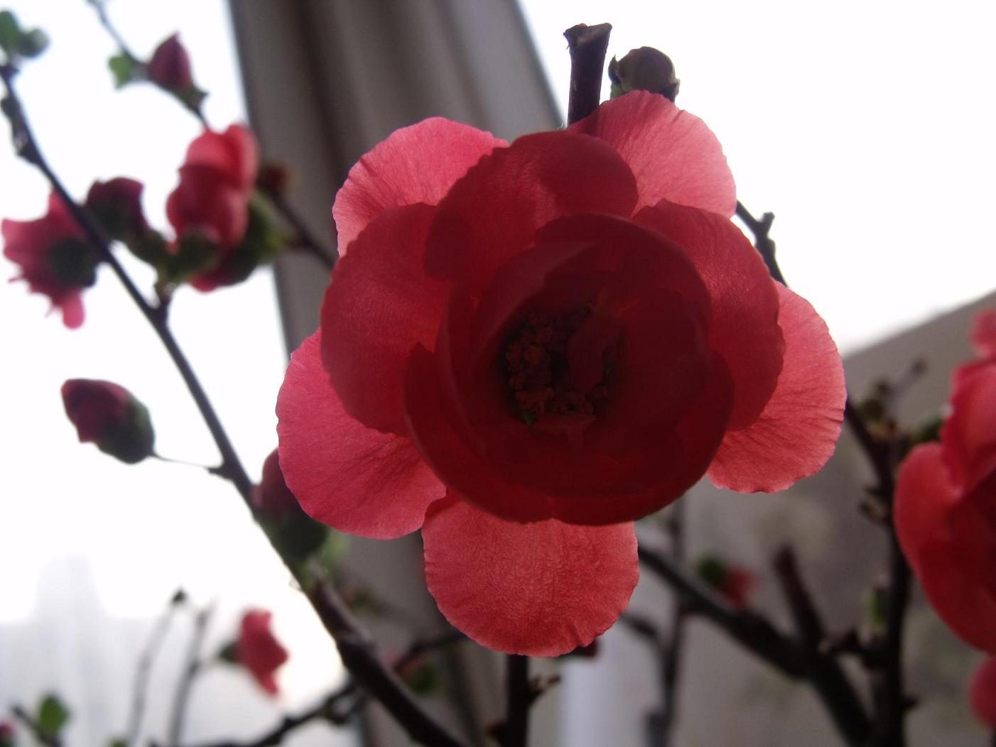 DSCF3810.JPG