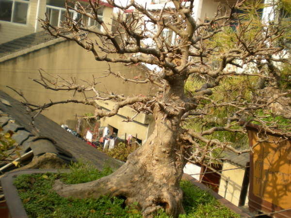 DSCN2545.JPG