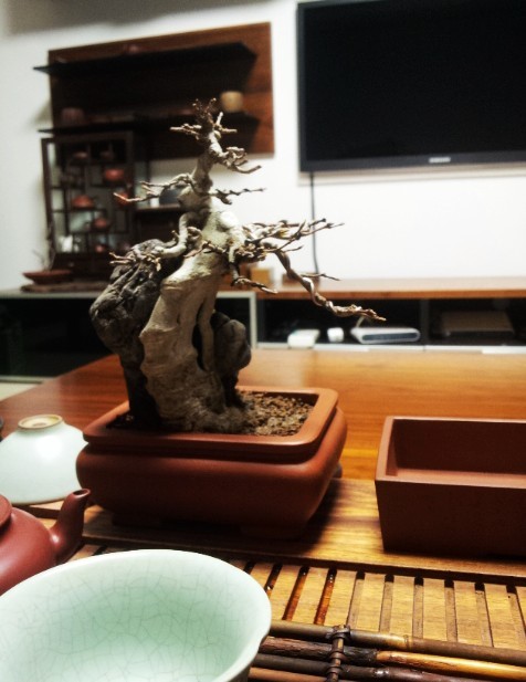 12020902-1.jpg