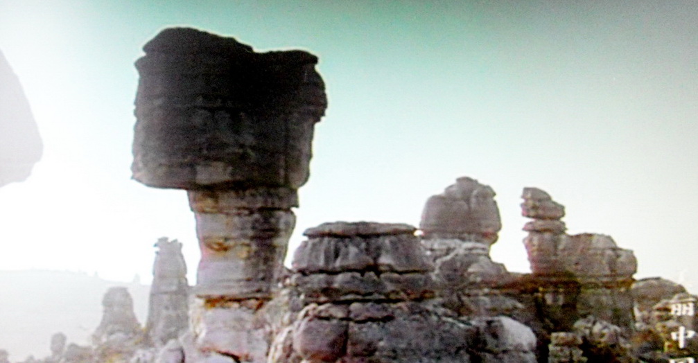 DSCN1920.jpg