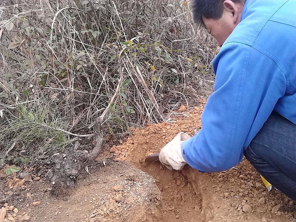 IMG_20130211_151019.jpg