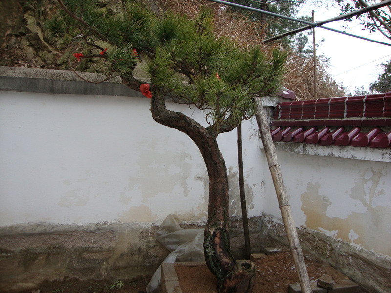 DSC00972_.jpg