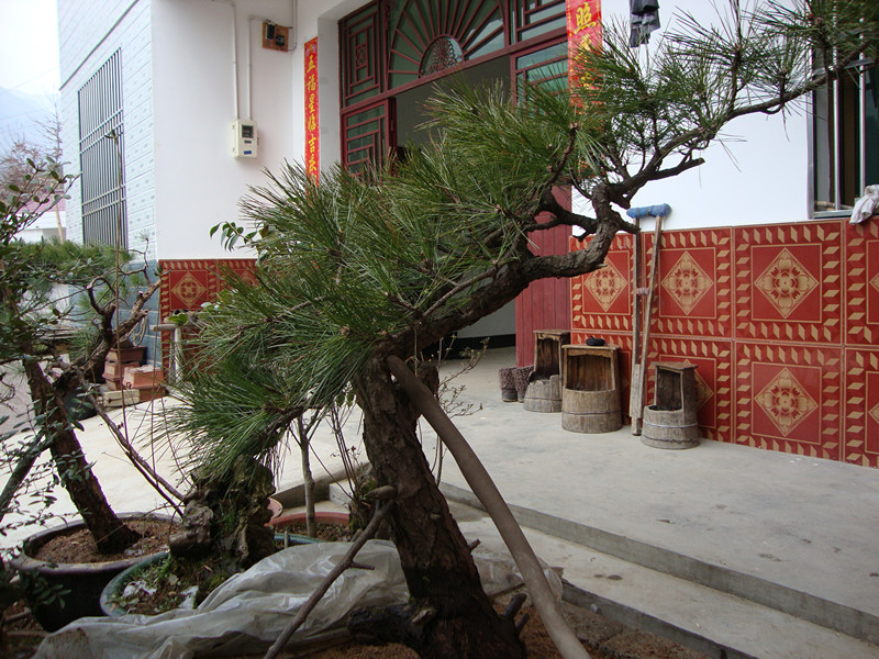 DSC00970_.jpg