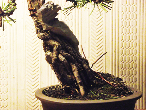 Ʒ 050.jpg