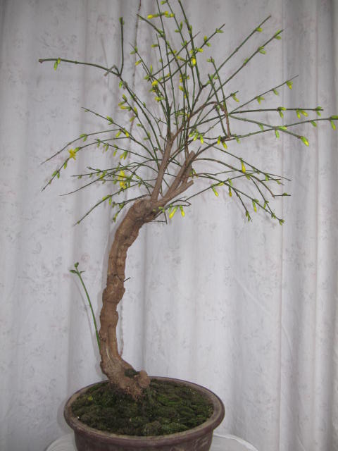 IMG_2600.JPG