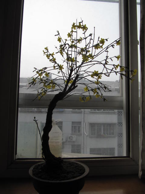 IMG_2642.JPG