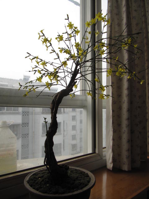 IMG_2643.JPG