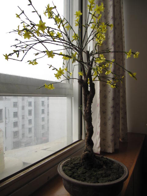 IMG_2645.JPG