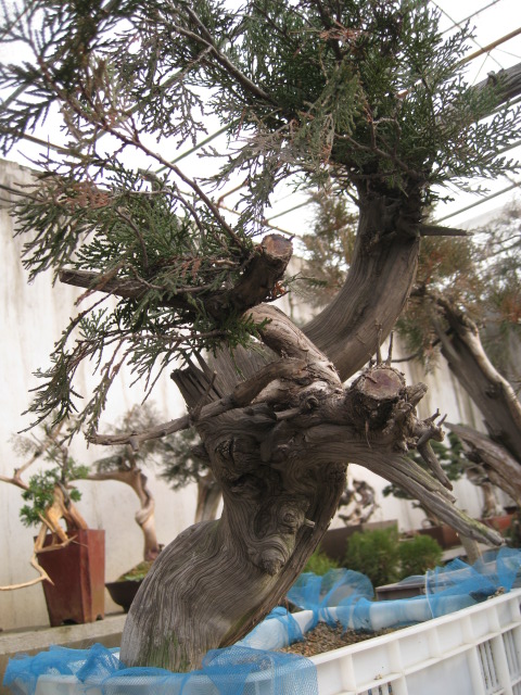 IMG_7051.JPG