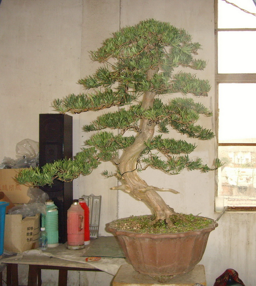 SNV39307.JPG