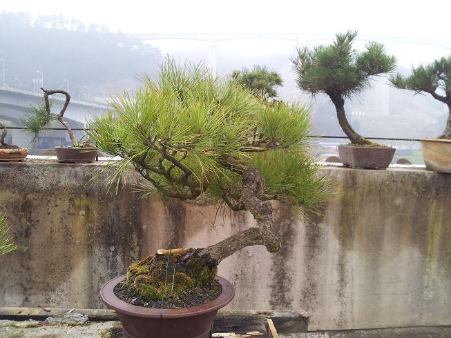20130214_161851.jpg