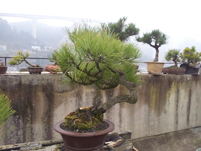 20130214_161901.jpg