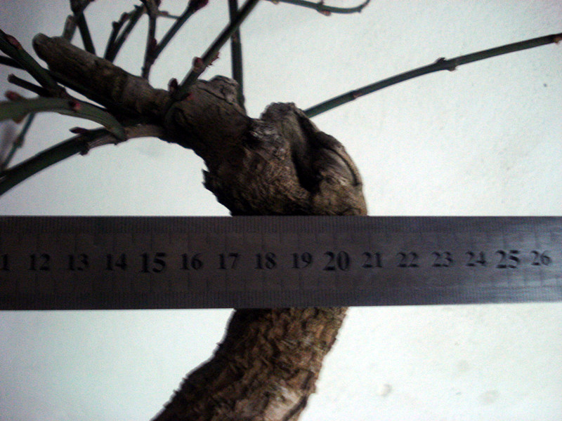 DSC04430_.jpg
