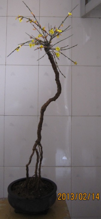 GJG}BF8M_99(O62%$N_SWHP.jpg