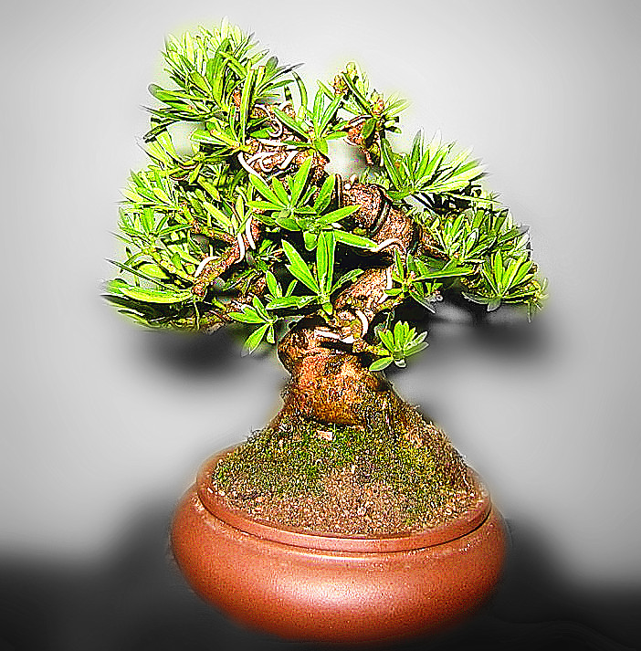 psb[3].jpg