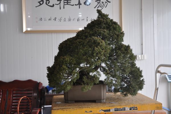 �ҵ��辰 265.jpg