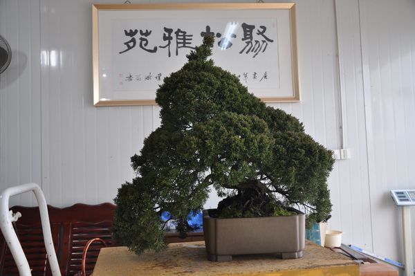 �ҵ��辰 266.jpg