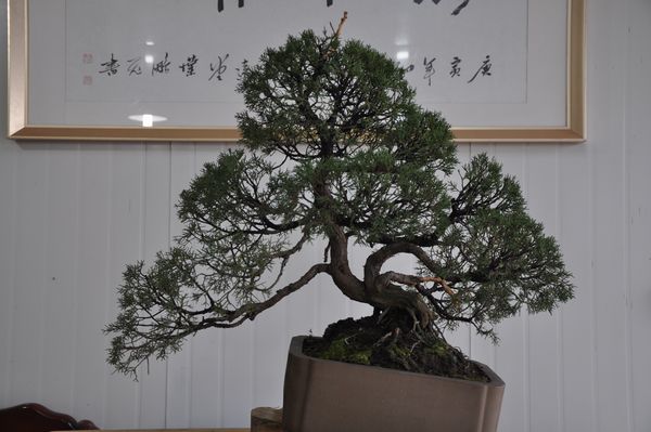 �ҵ��辰 272.jpg