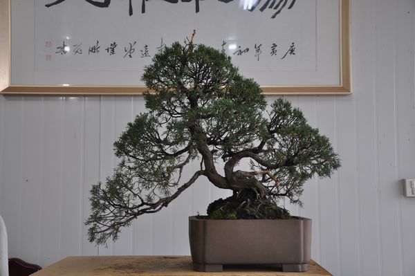 �ҵ��辰 275.jpg