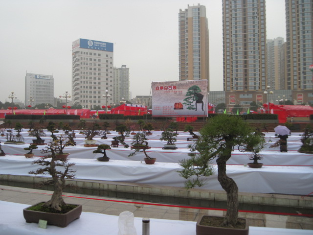 2013ų辰չ 002.jpg