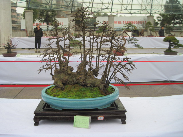 2013ų辰չ 033.jpg