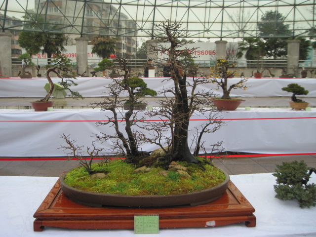 2013ų辰չ 035.jpg