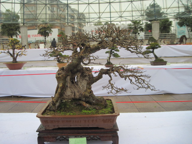2013ų辰չ 038.jpg