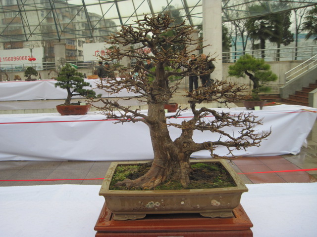2013ų辰չ 045.jpg