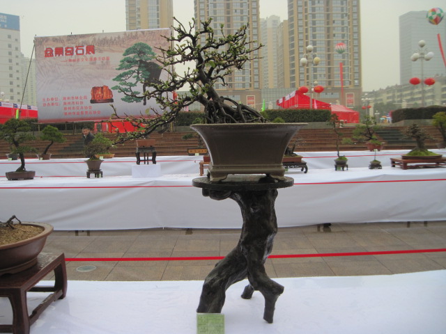 2013ų辰չ 061.jpg