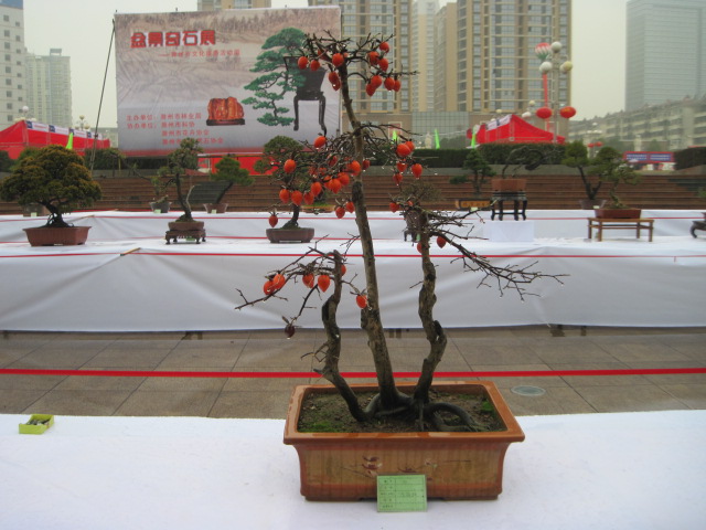 2013ų辰չ 063.jpg