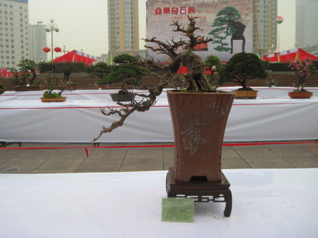 2013ų辰չ 068.jpg